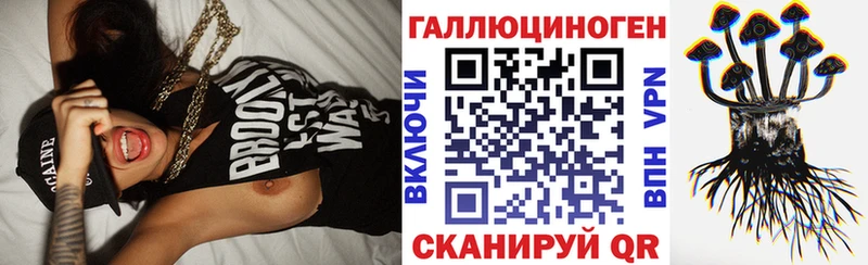 где найти наркотики  Задонск  Галлюциногенные грибы Psilocybe 